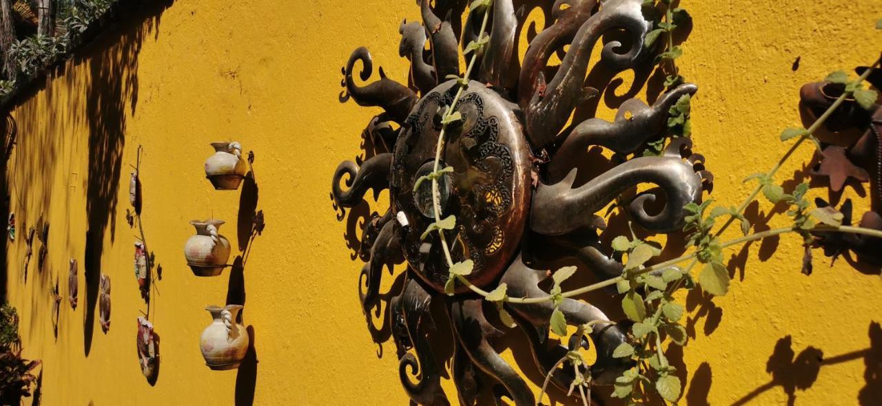 Hotel Rosa Morada 틀라케파케 외부 사진